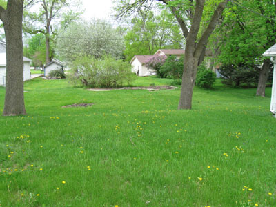 221 N 6th Ave Sheldon, Iowa 51201